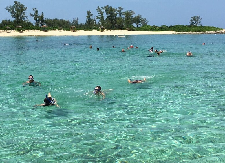 People swimming and snorkeling in clear turquoise water with a beach and palm trees in the background. 5