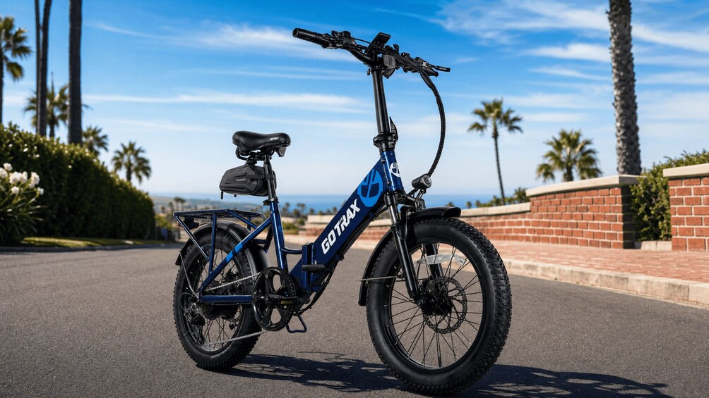 A blue electric bicycle with a black seat and a rear rack, parked on a paved road with palm trees and a clear sky in the background. 2