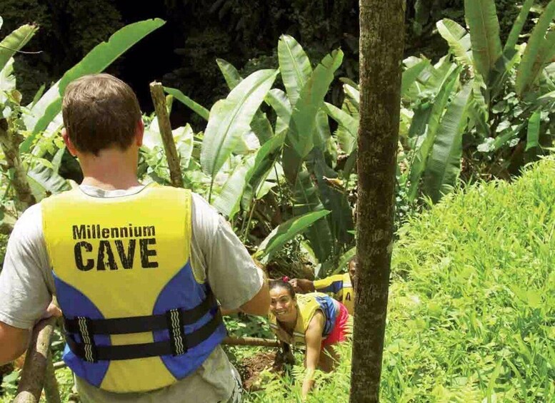 Picture 5 for Activity Luganville: Millennium Cave Tour with Hotel Pickup 1