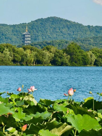Picture 5 for Activity Hangzhou: Sunset Cruise on the West Lake and Poetic Route 5