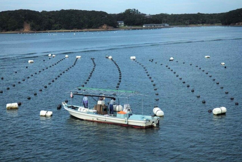 Picture 10 for Activity Toba, Ise Jingu and Mikimoto Pearl Island Tour 3