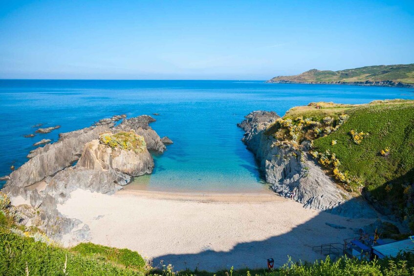 Woolacombe: Guided Foraging Tour with Local Expert 1