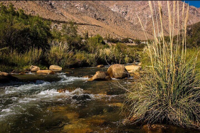 Rio Cochuguaz 4