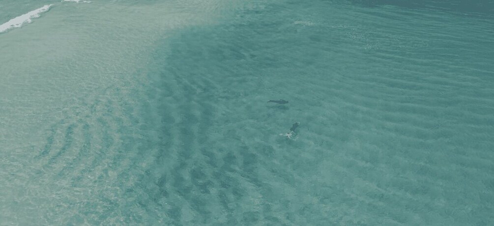 Maio, Cape Verde: Snorkeling Trip with an Authentic Cultural Experience 1