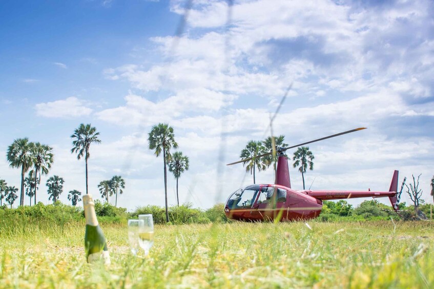 A red helicopter parked in a grassy field with palm trees in the background. 1