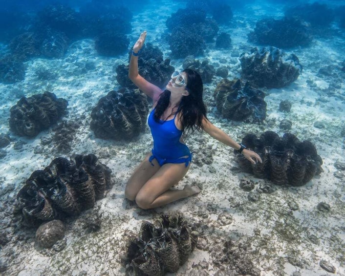 Bohol: Private Philippine Giant Clam & Reef Adventure 1