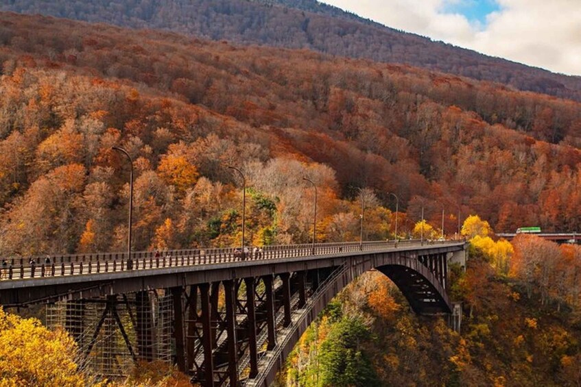 A steel bridge spanning a valley with autumn foliage. 5