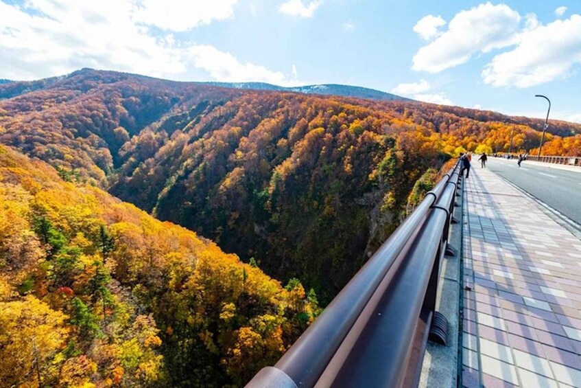A bridge with a guardrail, surrounded by autumn-colored trees and a valley. 2