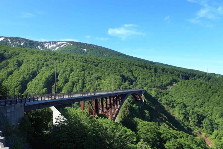 A steel bridge spanning a deep gorge with dense forest on either side and a mountain in the background. 1