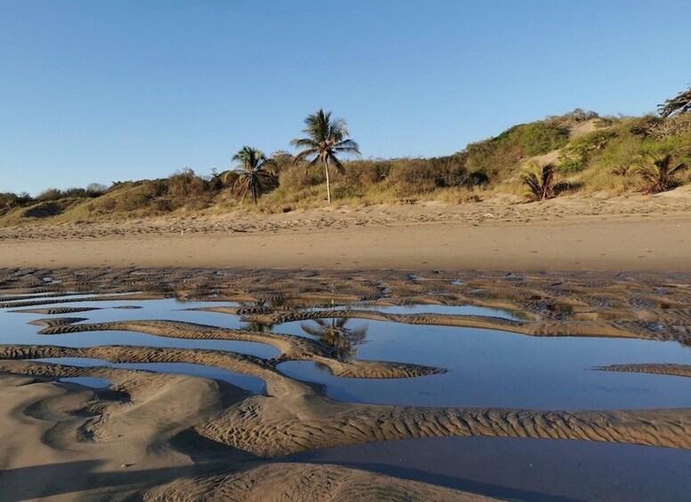 Pedasi: Conservation Hike at Refugio Pablo Barrios 1
