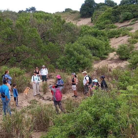 Picture 7 for Activity Pedasi: Conservation Hike at Refugio Pablo Barrios 3