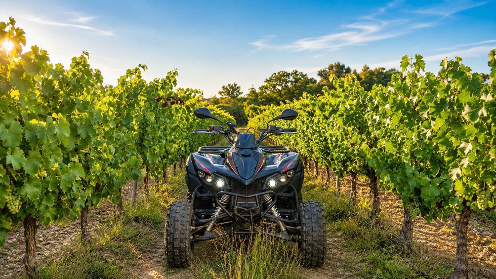 Quad rental in Bédoin at the foot of Mont Ventoux 1