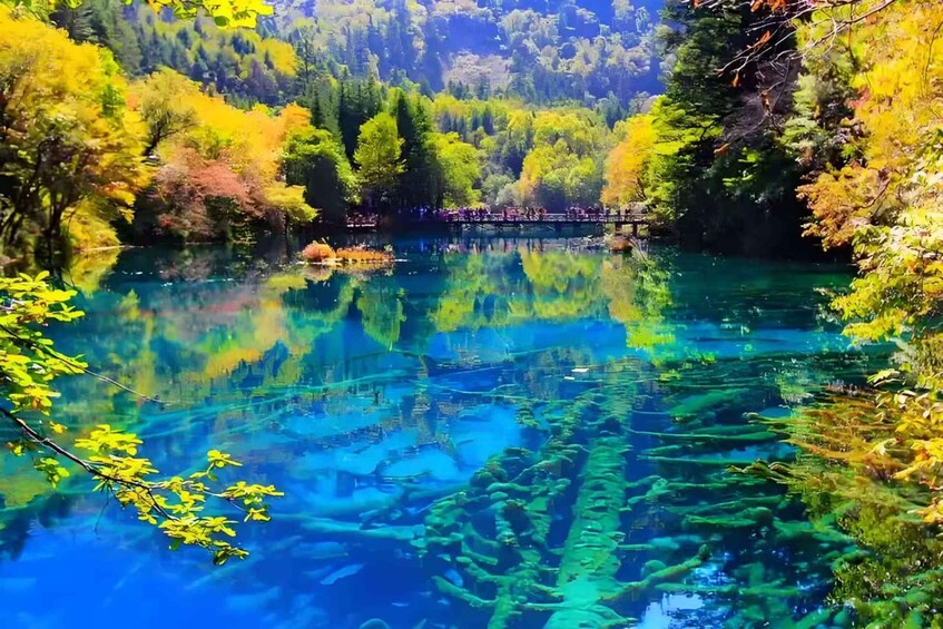 Picture 1 for Activity Sichuan: Jiuzhaigou Valley Ticket (Including Shuttle Bus) 5