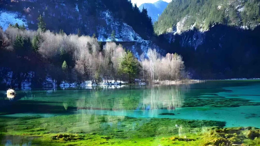 Picture 4 for Activity Sichuan: Jiuzhaigou Valley Ticket (Including Shuttle Bus) 4