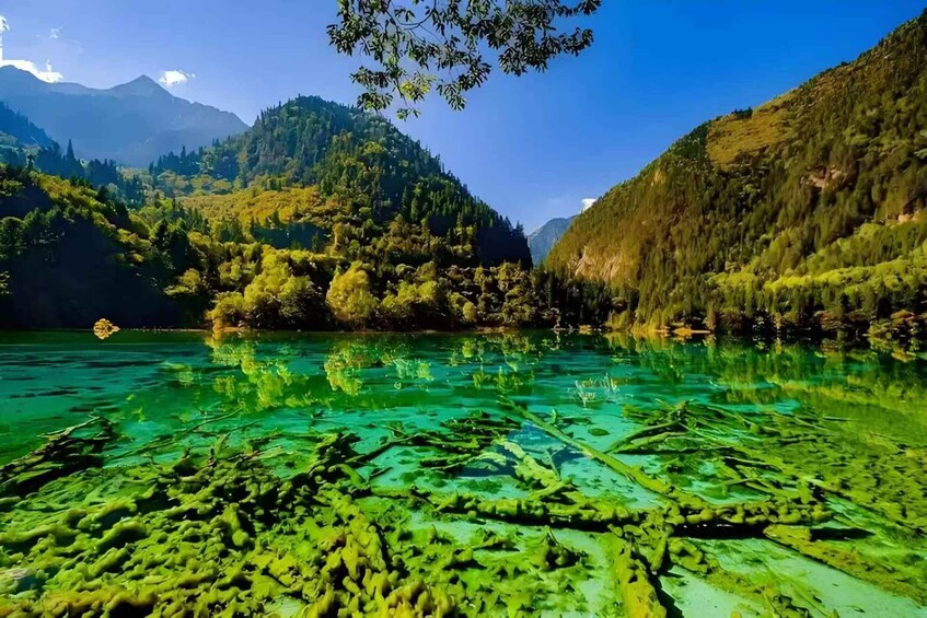 Picture 7 for Activity Sichuan: Jiuzhaigou Valley Ticket (Including Shuttle Bus) 4