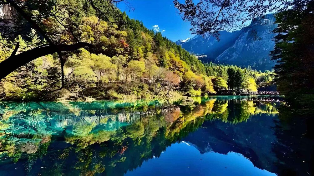 Picture 5 for Activity Sichuan: Jiuzhaigou Valley Ticket (Including Shuttle Bus) 2