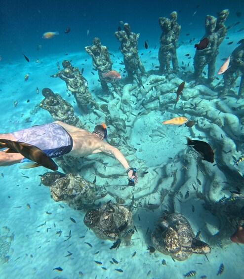 A diver exploring a vibrant coral reef with various fish species and a turtle. 2