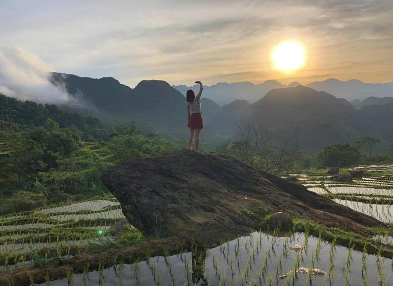 A person standing on a rock with rice paddies and mountains in the background. 4