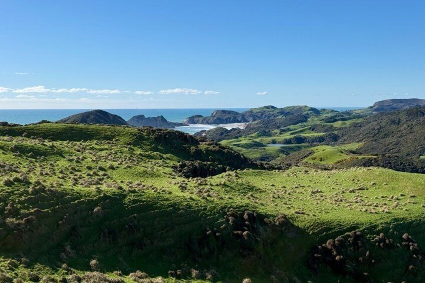 From Nelson Wharariki Beach Adventure Highlights along the way 3