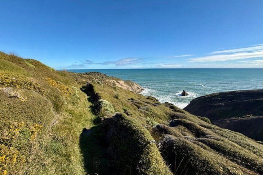 From Nelson Wharariki Beach Adventure Highlights along the way 5