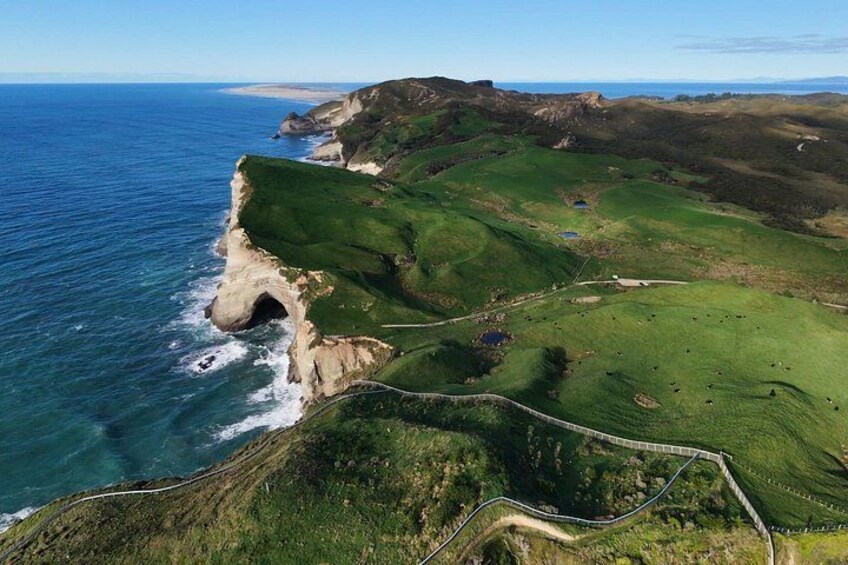 A coastal landscape with a cliff, green fields, and a winding road. 1