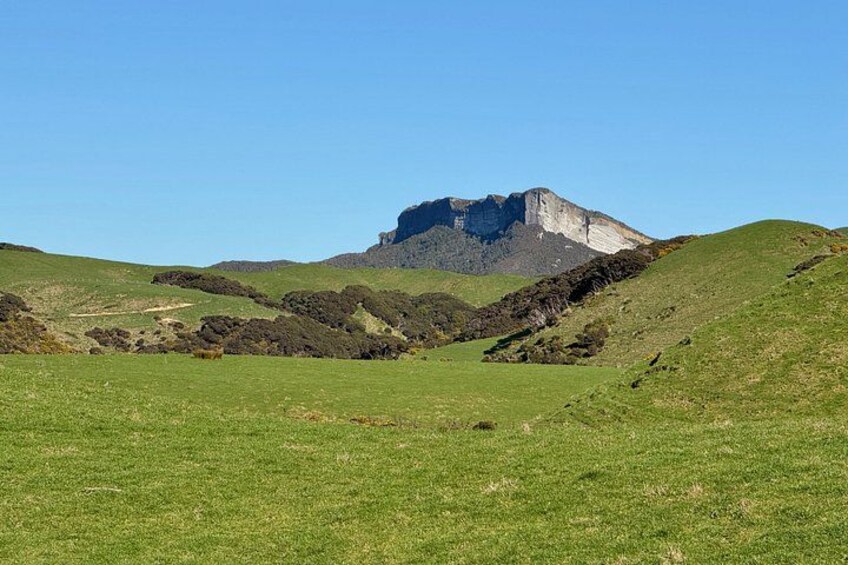 A grassy landscape with a prominent hill and a rocky mountain peak. 2