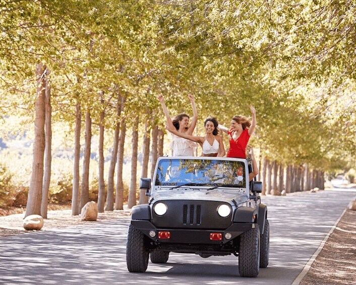 Picture 2 for Activity Kelowna: Off-Road Jeep Backcountry Tour 2