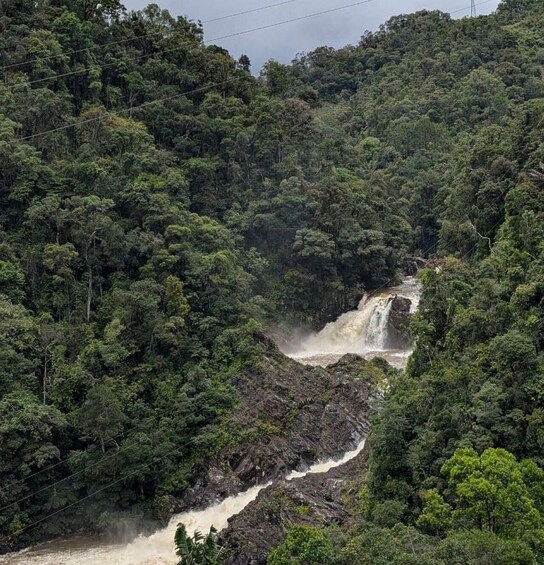 Picture 3 for Activity From Ambalavao: Full-Day Tour with Anja Community Reserve 3