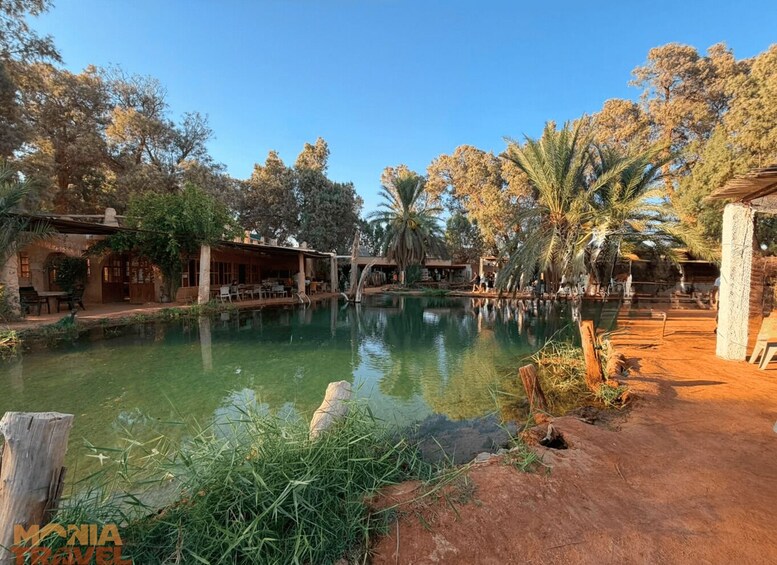 Djerba: Ksar Ghilane & Star Wars Day Trip with Lunch ️ 1