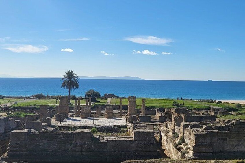 Ancient ruins with columns and a palm tree, overlooking the sea. 5
