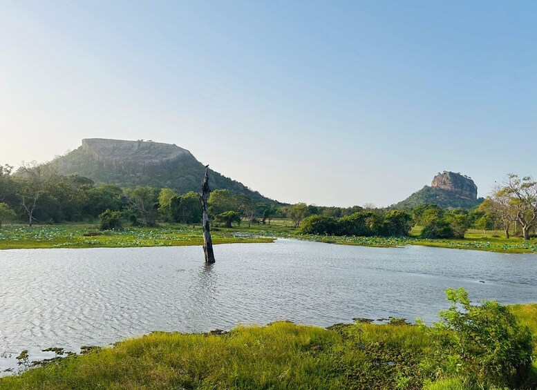 Picture 4 for Activity Sigiriya: Sunrise Birdwatching Tour in village tuk & boat 5