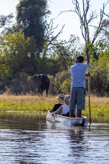 Maun: Mokoro into the Delta 1