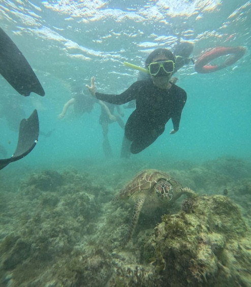 Picture 1 for Activity Moalboal Island - Sardines run & turtle watching 1