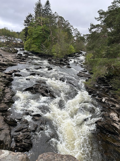 A fast-flowing river with rocky terrain and dense greenery. 3