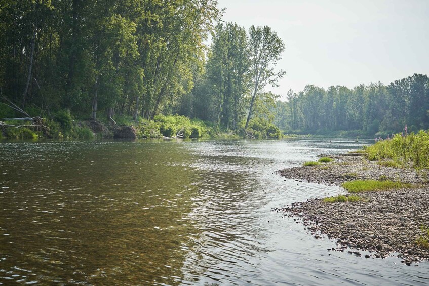 River Drava, European Amazon: day trip with lunch 3
