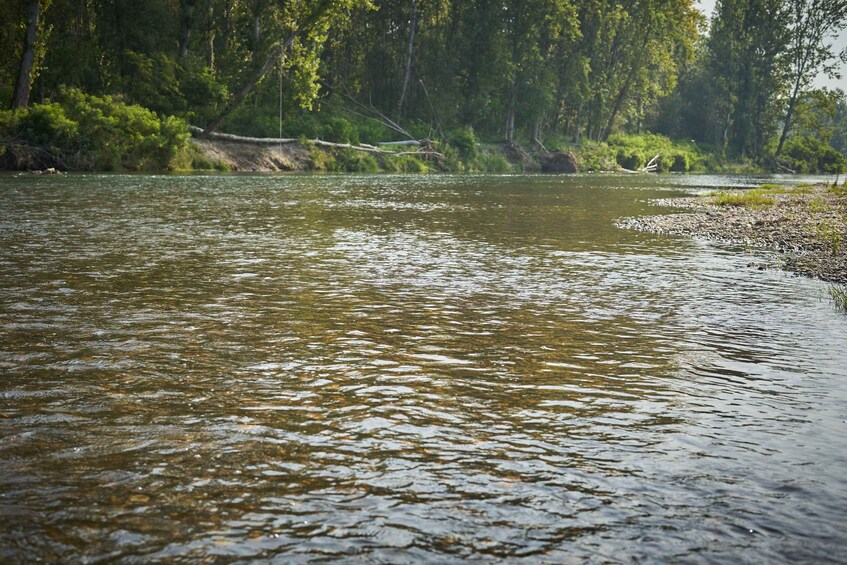 Picture 2 for Activity River Drava, European Amazon: day trip with lunch 5