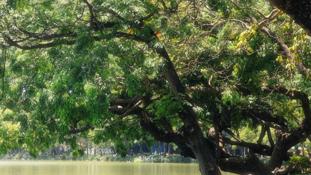 Picture 9 for Activity Huizhou: West Lake & Su Dongpo Private Day Trip 5