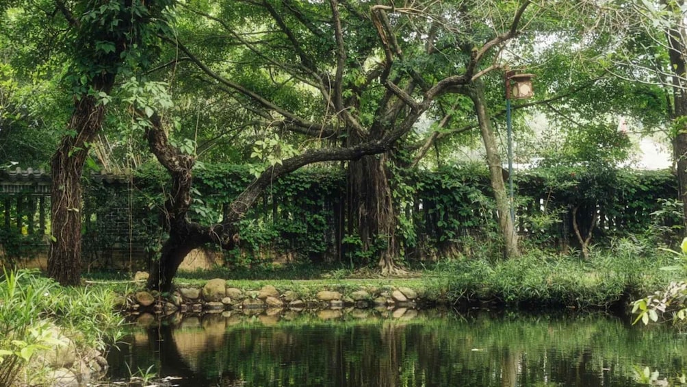 A tranquil pond surrounded by lush greenery and a stone bridge. 1
