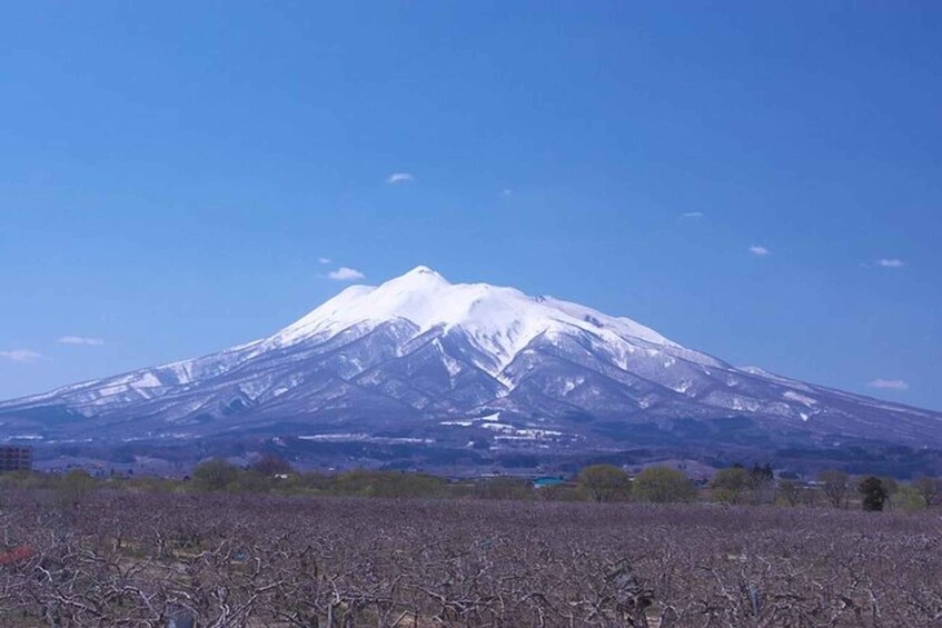 A snow-capped mountain with a clear sky. 4
