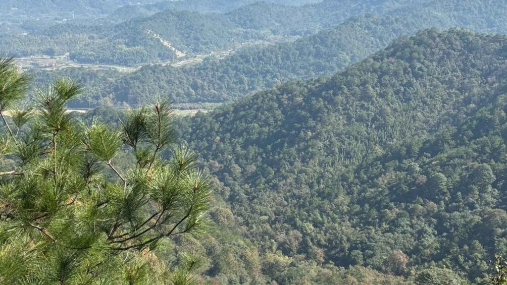 Picture 9 for Activity Ningbo: Dongqian Lake & Ancient Path Private Day Trip 2
