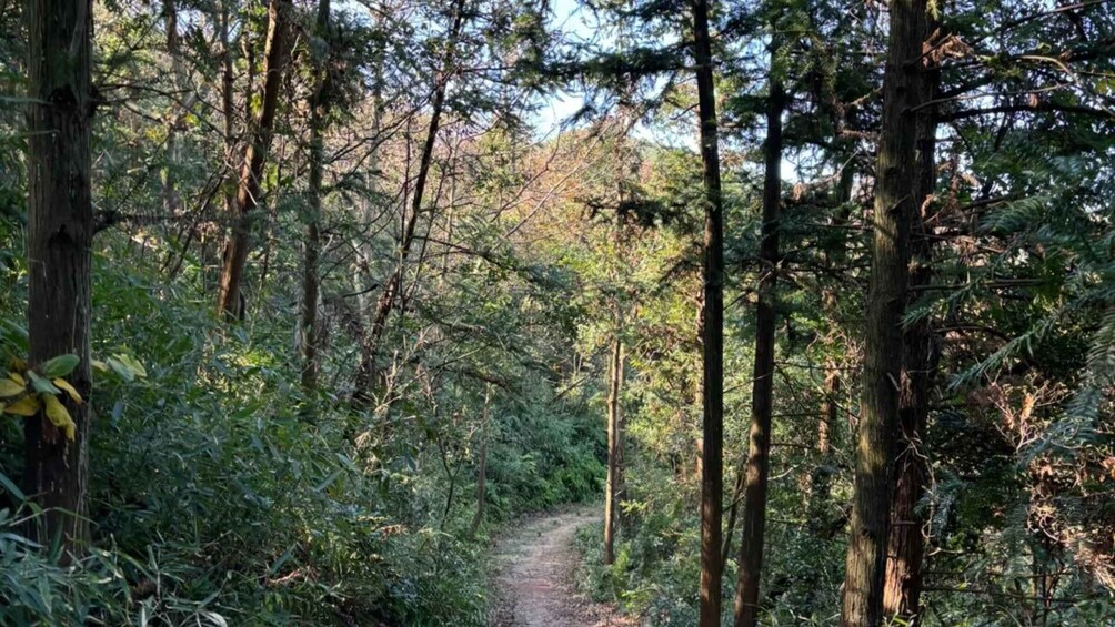 Picture 3 for Activity Ningbo: Dongqian Lake & Ancient Path Private Day Trip 4