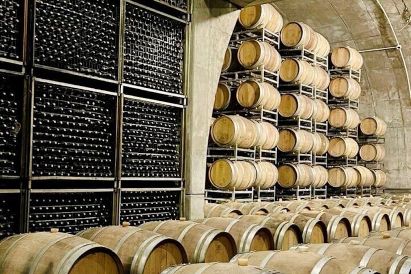 Private Uco Valley Wine Tour: 3 Wineries, Malbec Tasting &Transfer 5