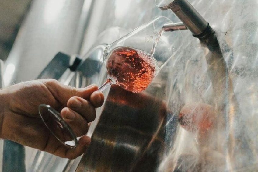 Private Uco Valley Wine Tour: 3 Wineries, Malbec Tasting &Transfer 2