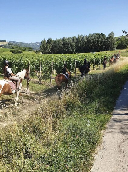 Picture 10 for Activity Langhe: Horseback Riding Tour in the Vineyards with Aperitif in San Marzano Oliveto 2