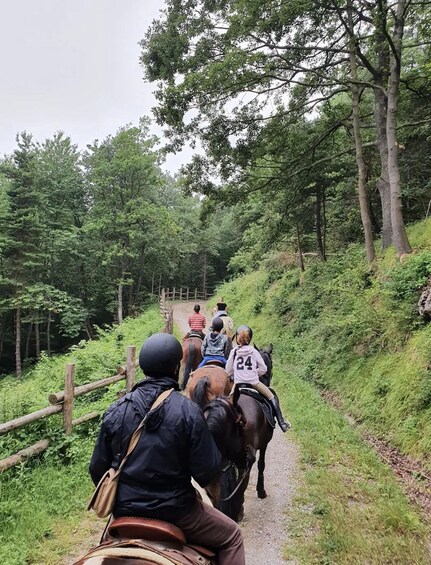 Picture 9 for Activity Langhe: Horseback Riding Tour in the Vineyards with Aperitif in San Marzano Oliveto 4