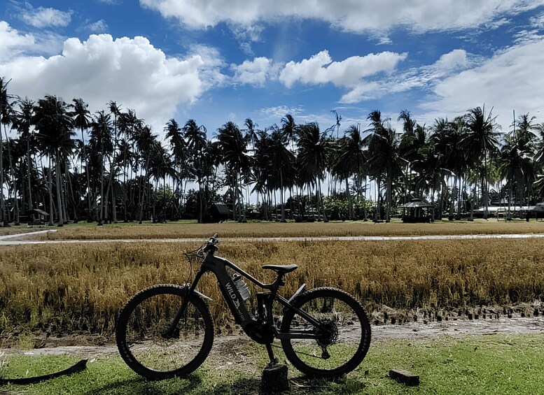 Picture 1 for Activity Butterworth: Guided Bike Ride to Kampung Agong 2