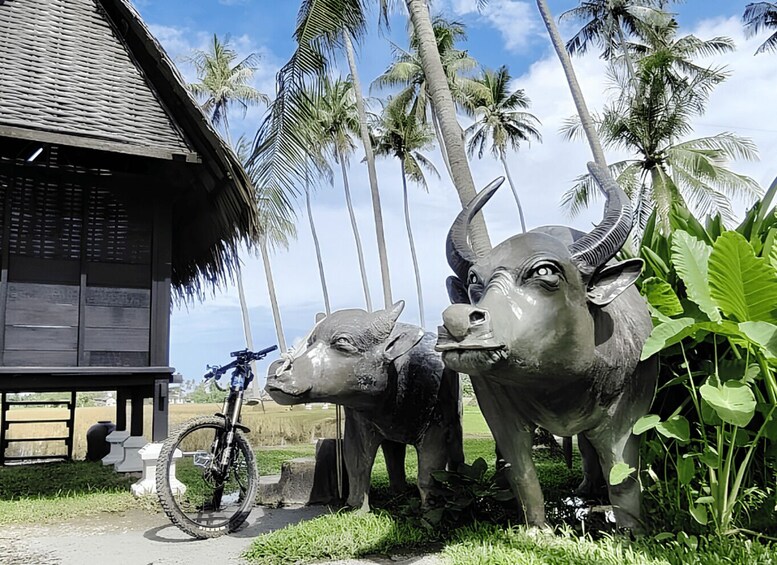 Picture 3 for Activity Butterworth: Guided Bike Ride to Kampung Agong 3
