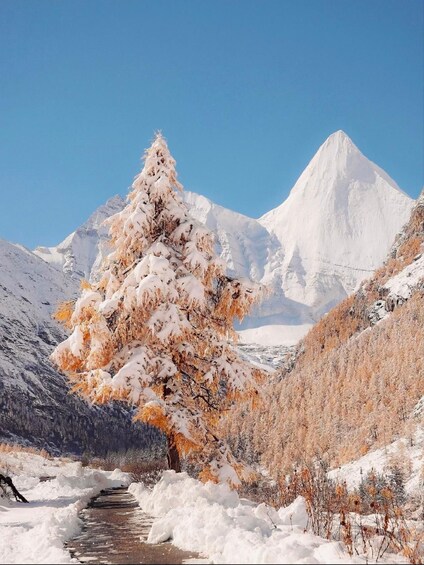 Picture 3 for Activity Yading Admission for Independent Hikers & Photographers 4