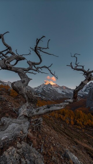 Picture 2 for Activity Yading Admission for Independent Hikers & Photographers 3