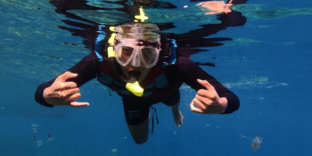 Picture 3 for Activity San Cristóbal: Sightseeing Tour to Isla Lobos with Snorkeling, Tour Guide and Lunch Included 2